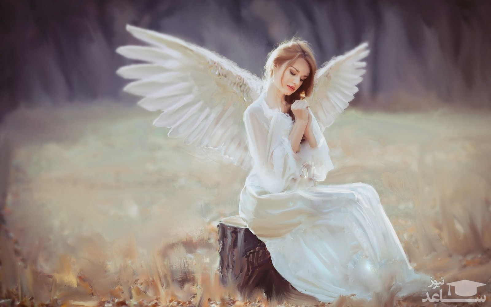 دیدن فرشته در لباس زنانه در خواب چه تعبیری دارد؟  / تعبیر خواب پری