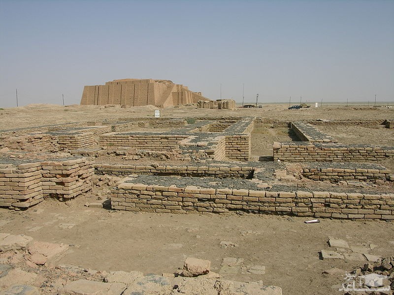تصویر