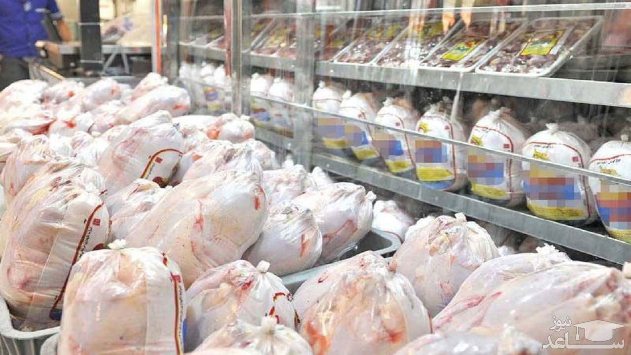 قیمت مرغ تنظیم بازاری تعیین شد