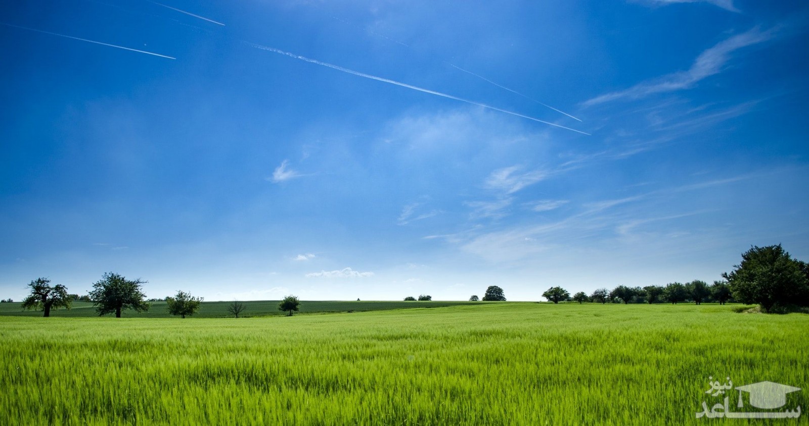 یک مزرعه جالب در کنار یکی از بزرگترین بزرگراه‌های انگلیس