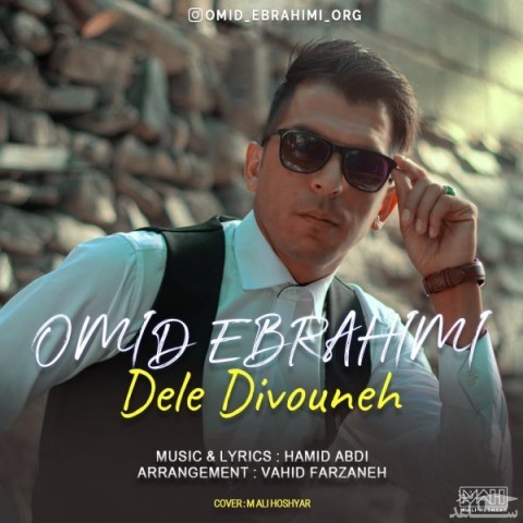 دانلود آهنگ دل دیوونه از امید ابراهیمی
