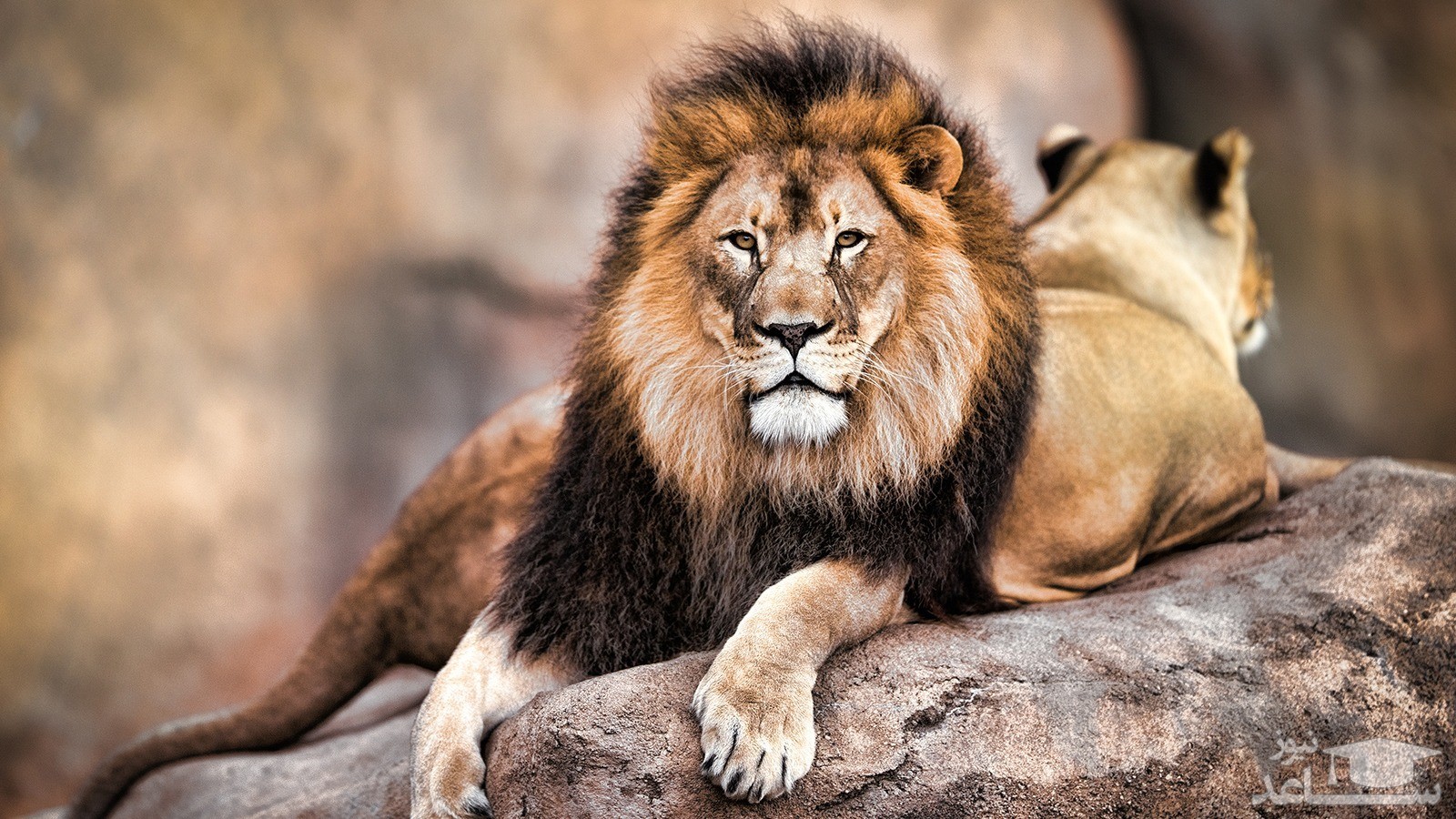 (فیلم) یک هیولای واقعی!