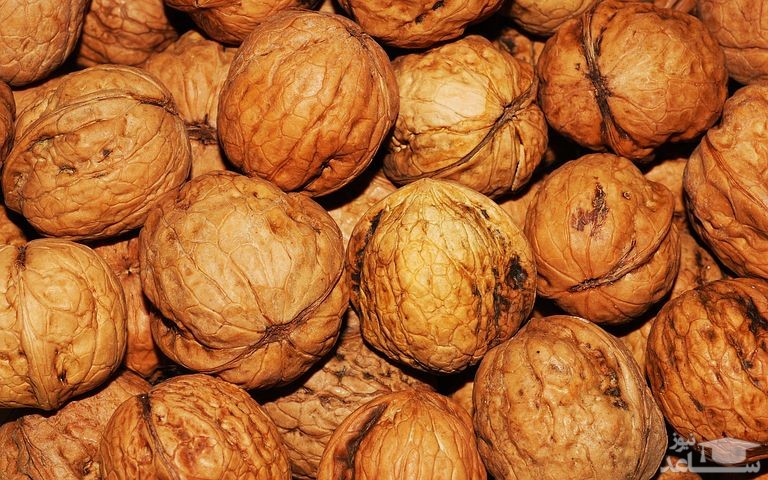 با فواید و مضرات گردو بیشتر آشنا شوید