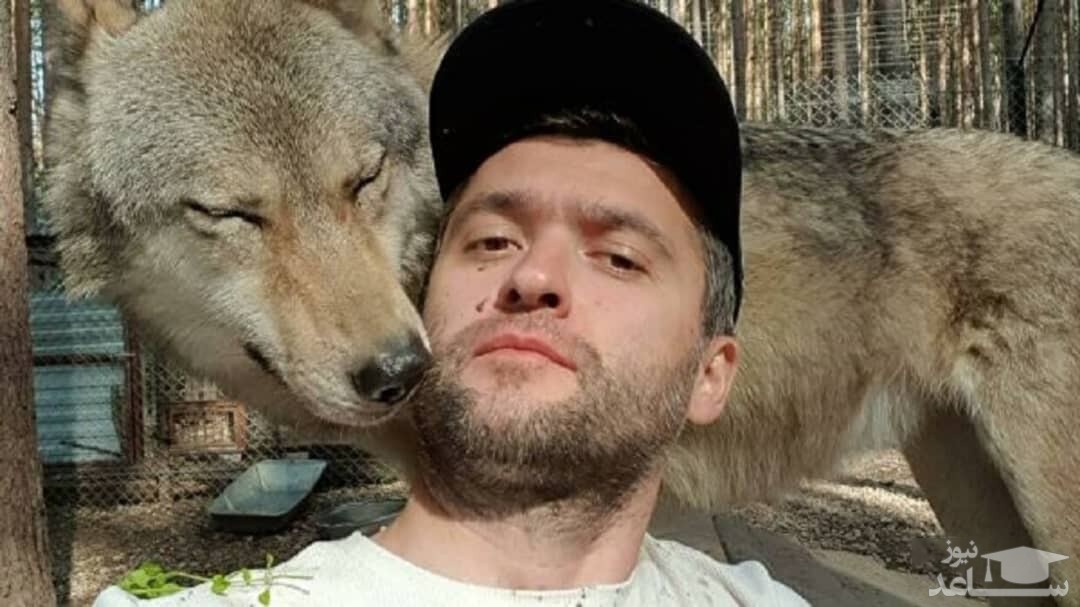 ﻿ زندگی شگفت انگیز مرد روسی با گرگ‌ها