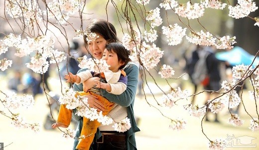 اصول تربیت فرزند در ژاپن