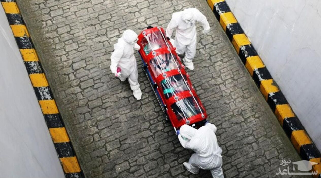 ​​​​​​​آخرین آمار کرونا در جهان/ شمار مبتلایان به ۸ میلیون نفر نزدیک شد