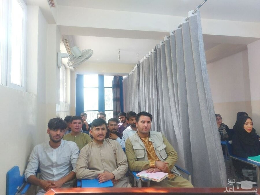 دانشگاه کابل