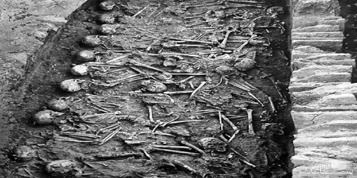 ماجرای ۲۳ اسکلت کشف شده در هفت‌تپه چیست؟