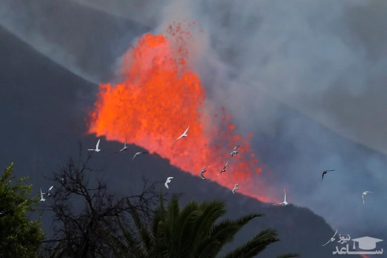 ادامه فعالیت آتشفشانی در جزیره "لا پالما" در مجمع الجزایر قناری اسپانیا