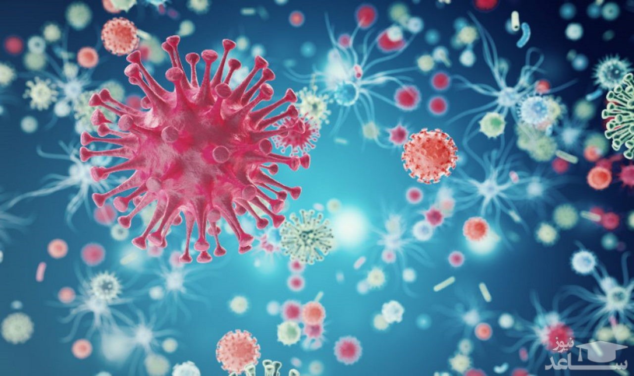 آمار کرونا در ایران و جهان (۱۳۹۹/۰۲/۲۴)