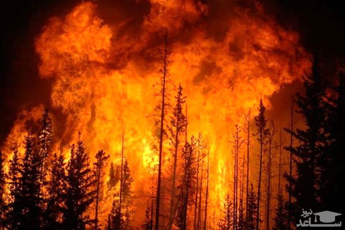 آتش سوزی گسترده در جنگل‌های شمال کشور