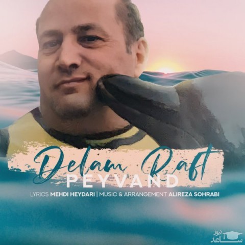 دانلود آهنگ دلم رفت از پیوند