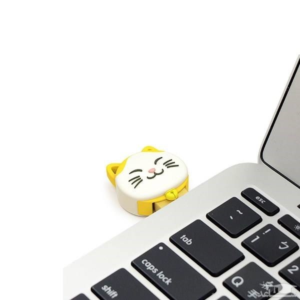 فلش مموری پی کیو آی مدل کانکت 303