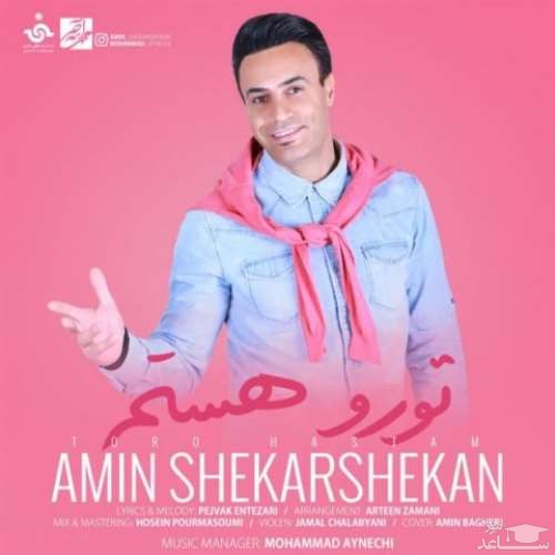 دانلود آهنگ تورو هستم از امین شکرشکن