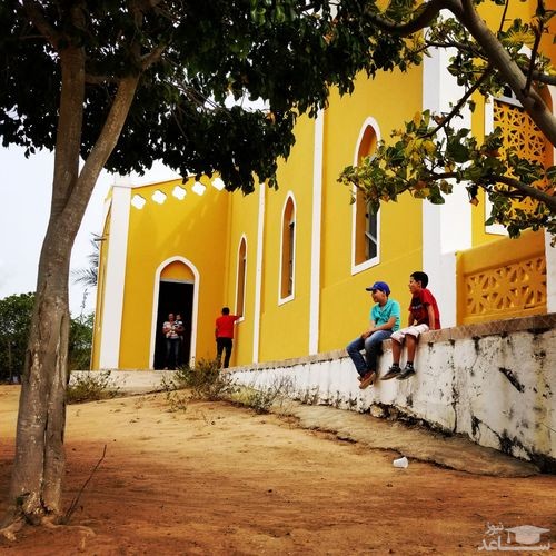 موزه ساوونت