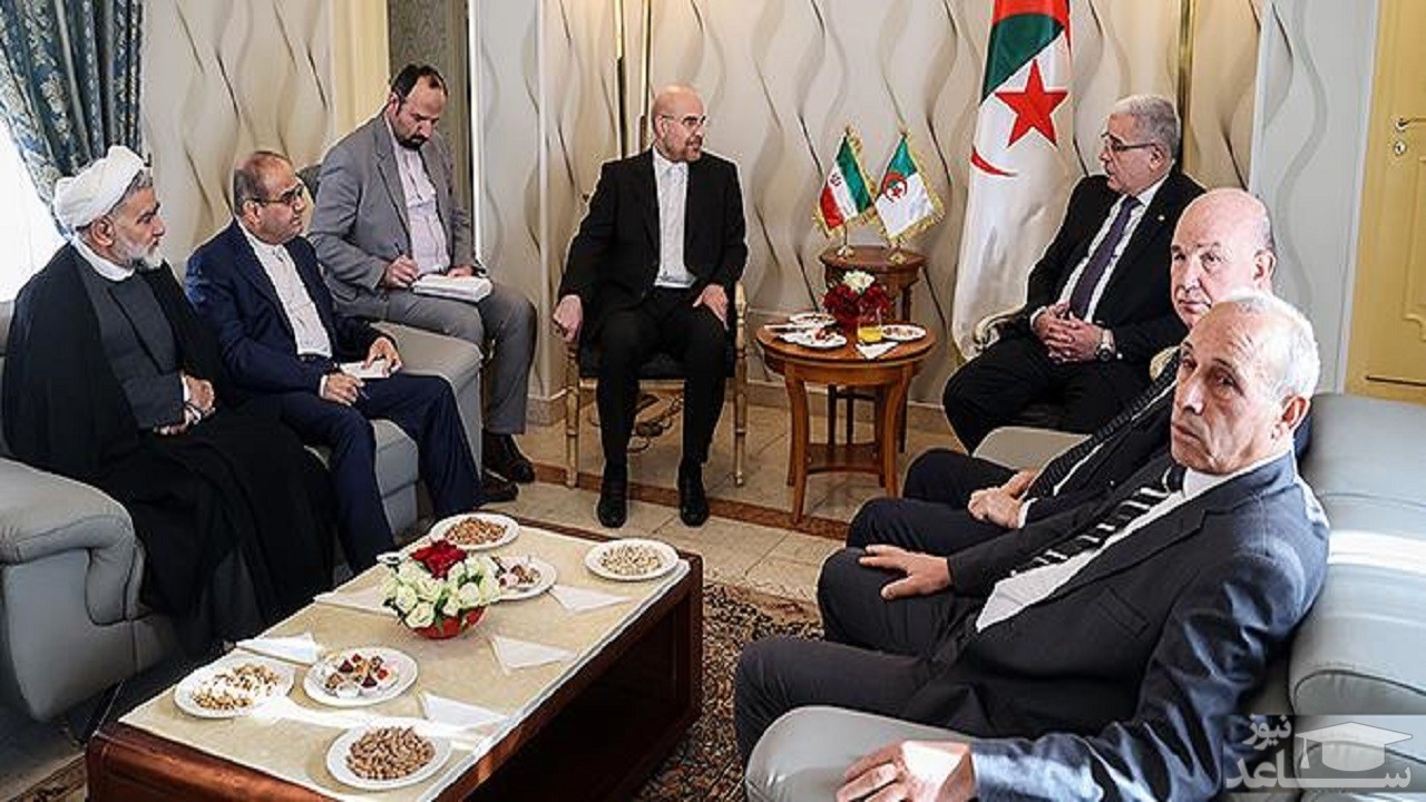 پس‌لرزه‌ «لاف یا گاف» جنجالی قالیباف در الجزایر/ آقای قالیباف شما در انقلاب الجزایر 9 ماهه بودید!