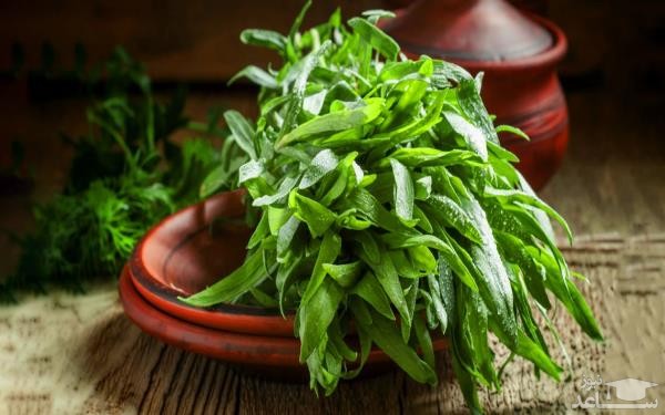 خواص ترخون و نحوه مصرف آن