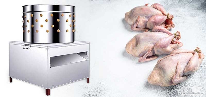 تجهیزات مورد نیاز برای ارائه گوشت مرغ به بازار