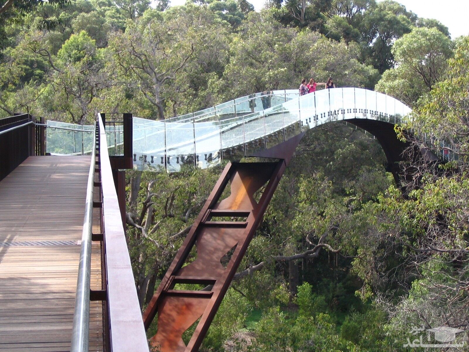 پل هوایی | Lotterywest Federation Walkway