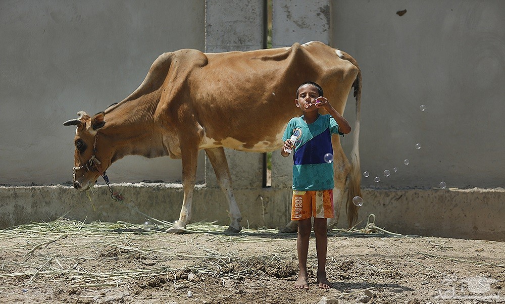 تصویر