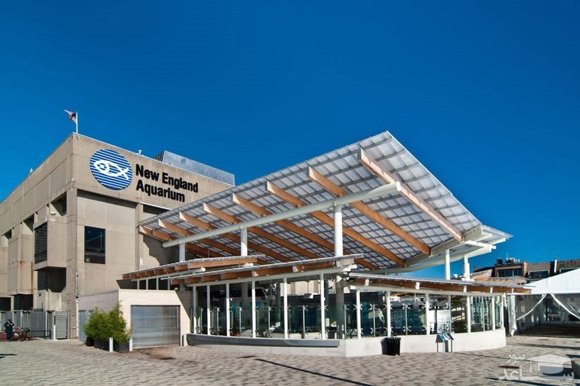 آکواریوم نیو انگلند