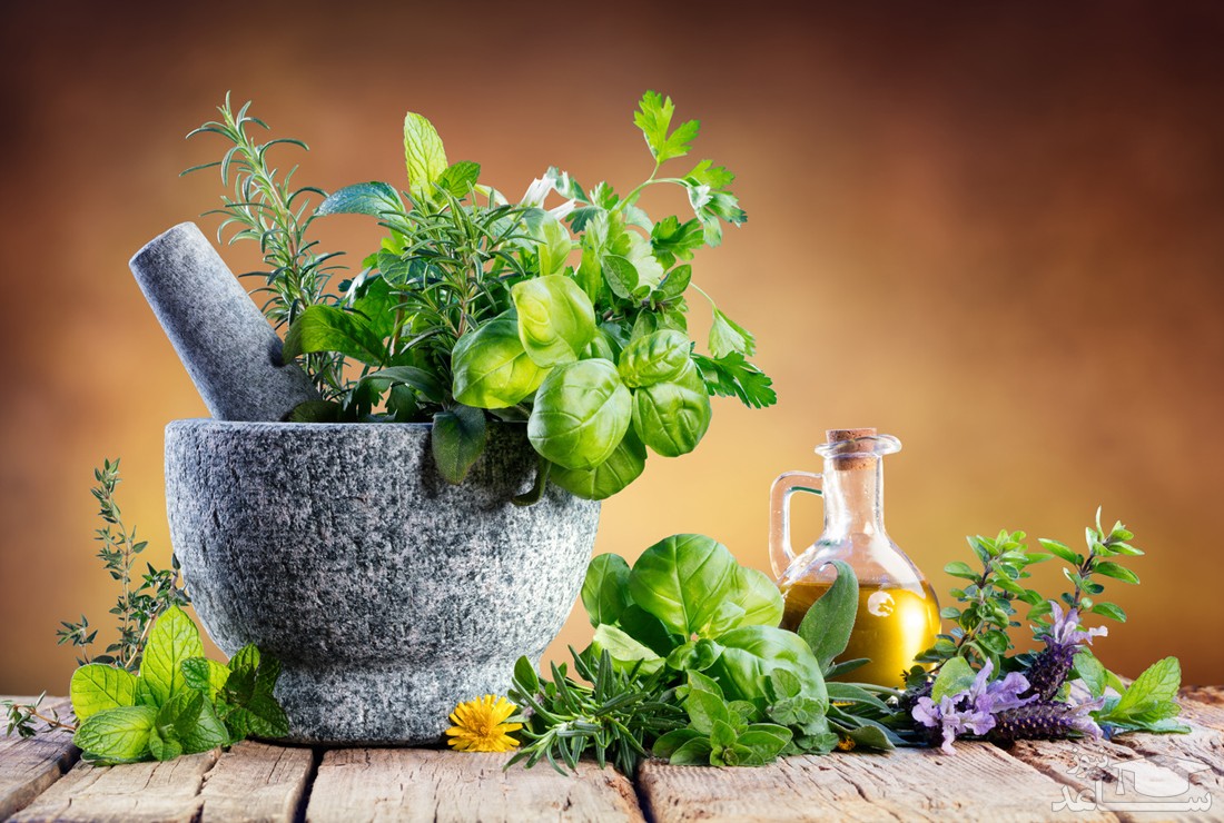 بهترین روش ضد عفونی منزل با گیاهان دارویی در دسترس