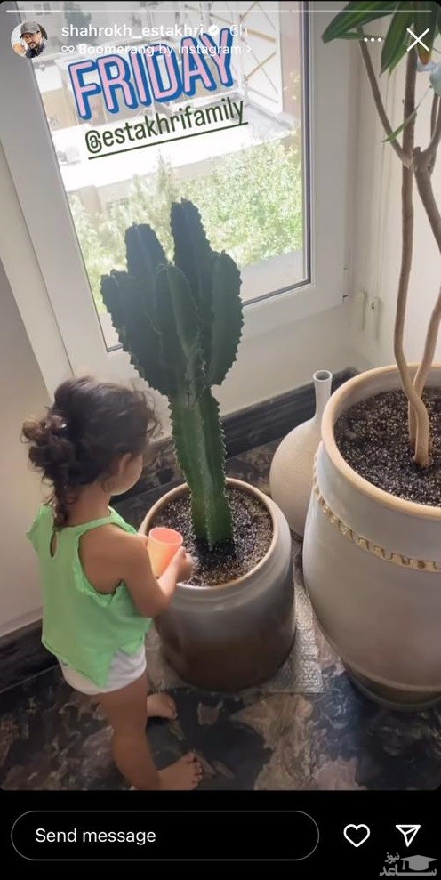 تصویراستوری شاهرخ استخری