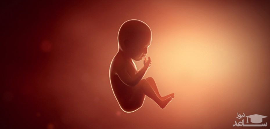 مهمترین عامل مردن جنین در شکم مادر
