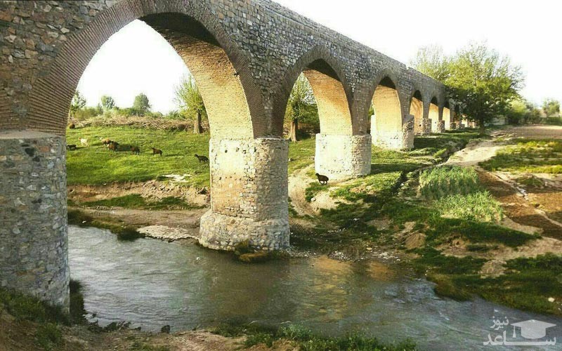 تصویر