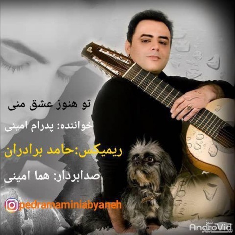 دانلود ریمیکس تو هنوز عشق منی از پدرام امینی