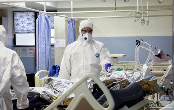 خبر خوش کرونایی از جزیره کیش