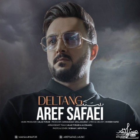 دانلود آهنگ دلتنگ از عارف صفائی