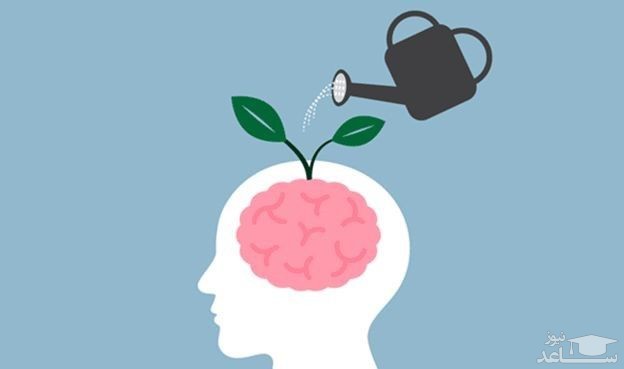 تقویت ذهن با بازی کامپیوتری