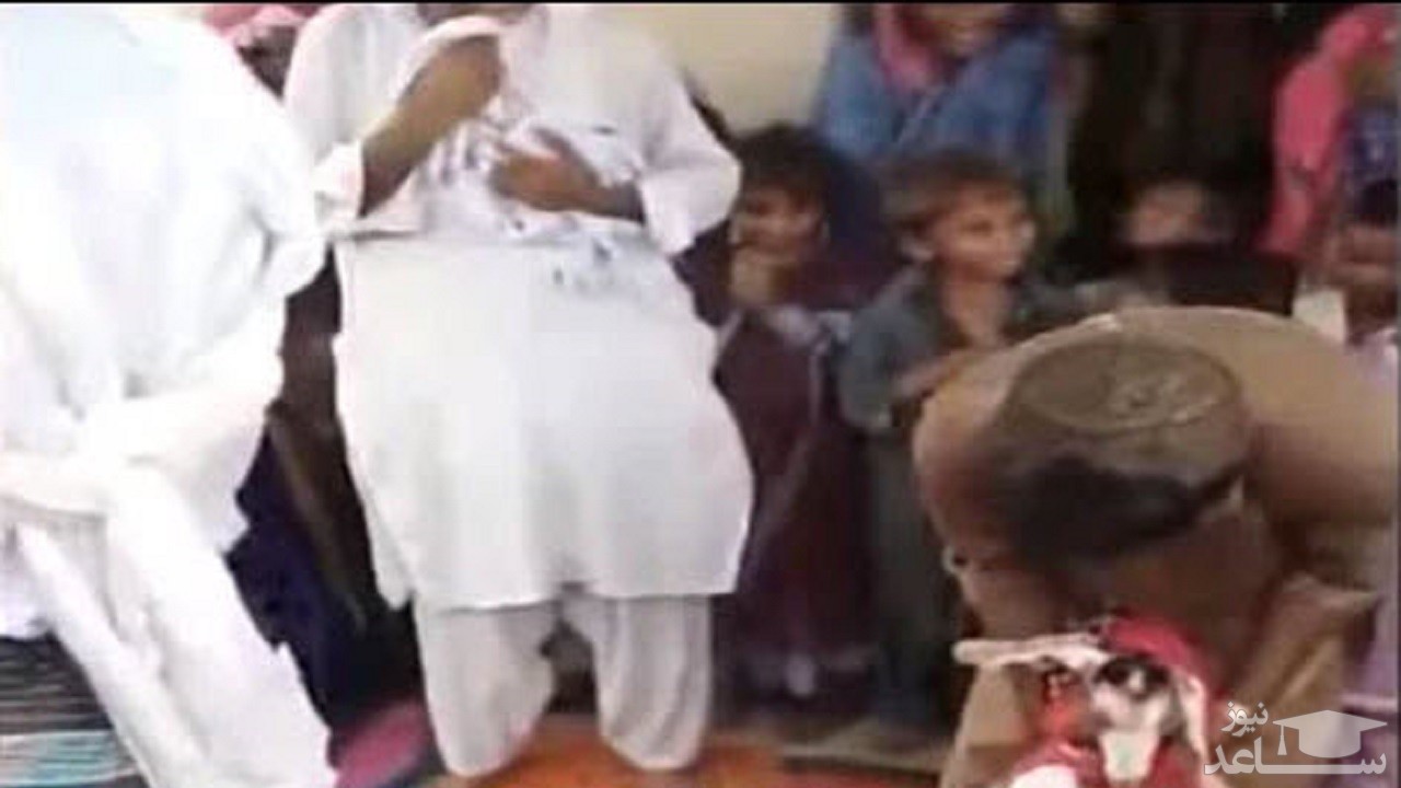 (فیلم) مرد پاکستانی با یک بز ازدواج کرد !