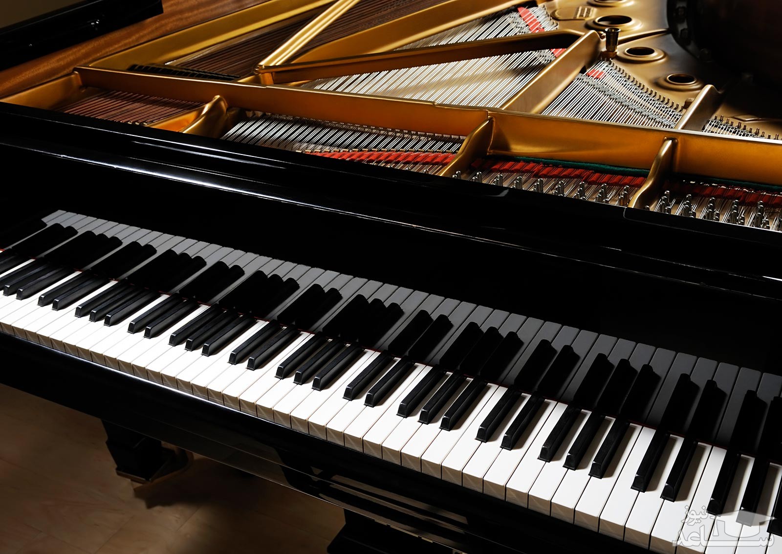 (فیلم) جهان در حیرت نابغه ۴ساله؛ نوازنده قطعات بتهوون