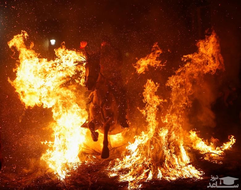 عبور با اسب از شعله های آتش در جریان جشن سالانه روز "سن آنتونی"(قدیس حامی حیوانات اسپانیا) در روستایی در شمال غرب شهر مادرید/ رویترز