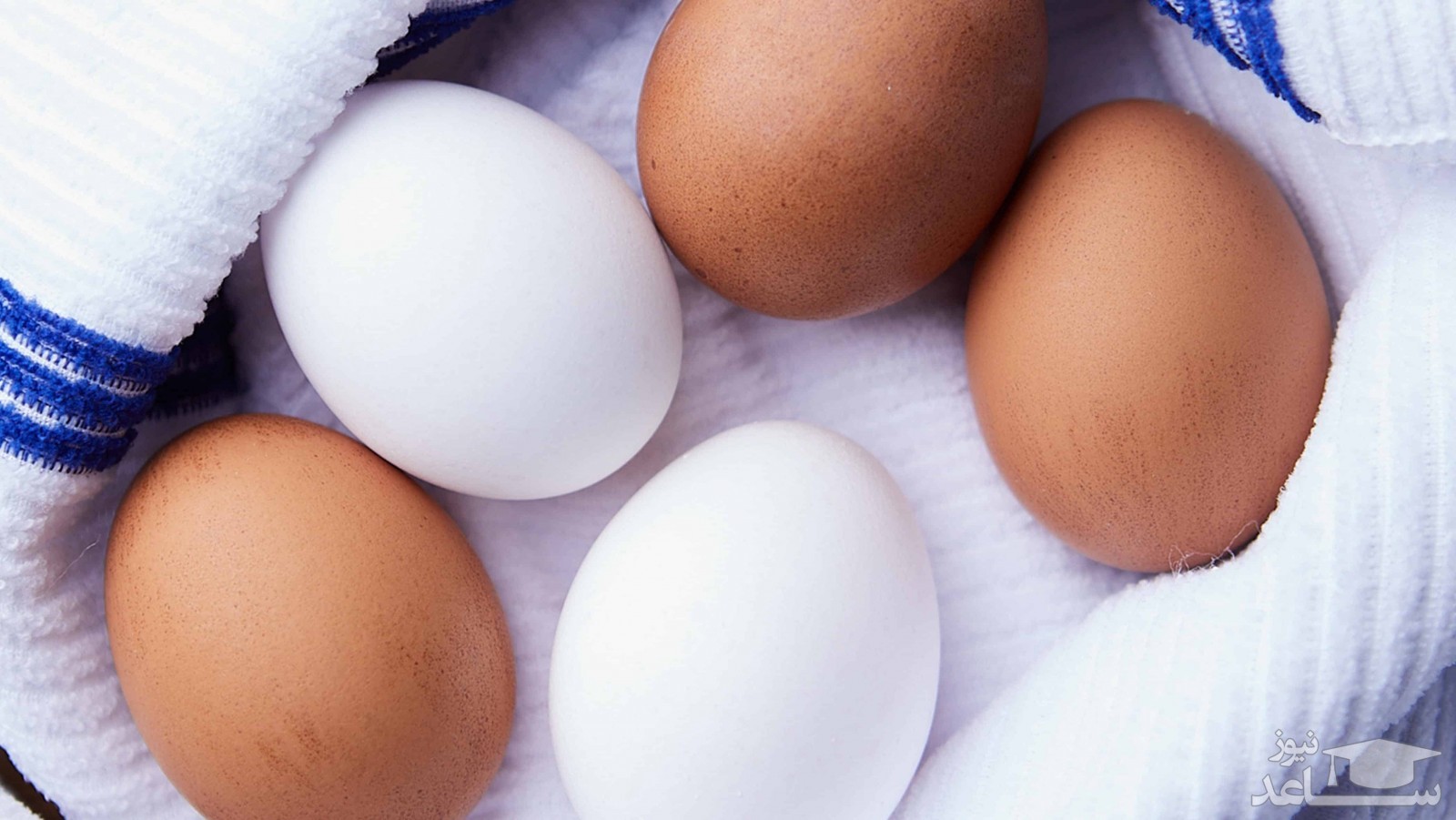 با فواید بی شمار تخم مرغ آشنا شوید