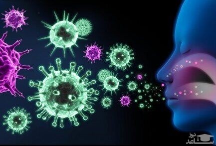 یک خبر بد / کرونا در تابستان شکست نمی خورد! / گرما تاثیری ندارد!