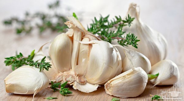 نحوه نگه داشتن سیر تازه به مدت طولانی