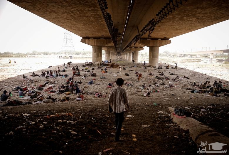 خوابیدن مردم زیر پل در کرانه رود یامونا در گرمای طاقت فرسا شهر دهلی هند/ رویترز