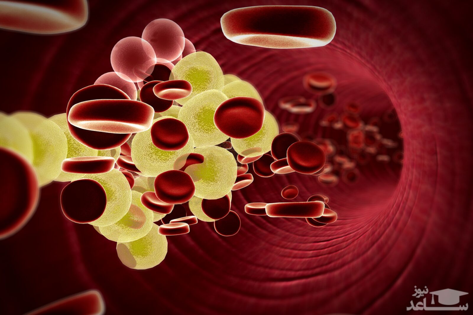 میزان، تاثیرات و مکانیزم اثر فنوفیبرات