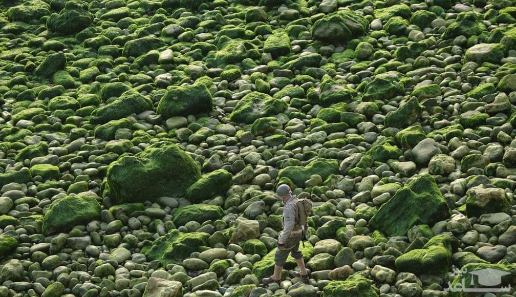 تصویر