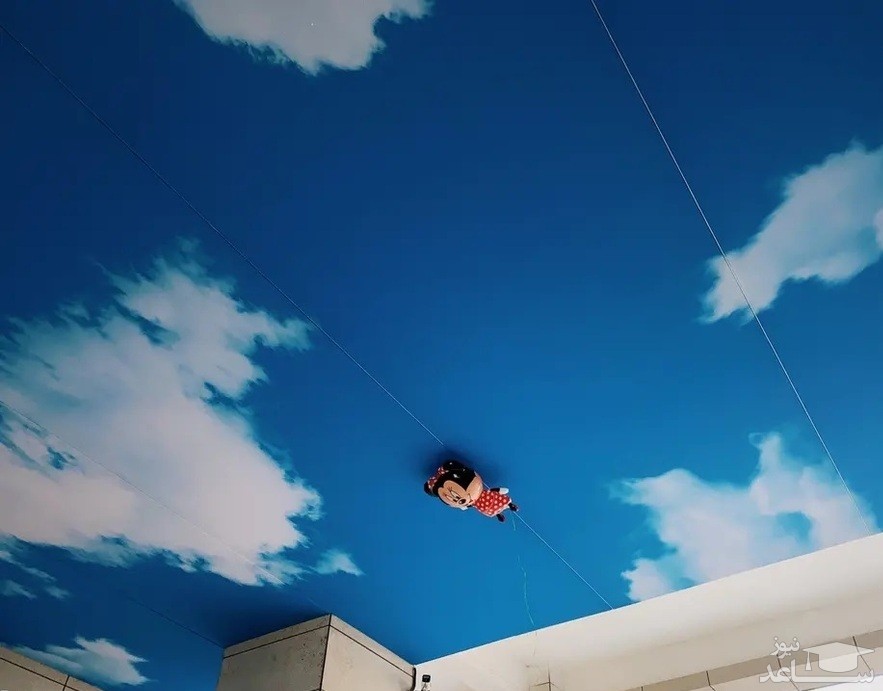 تصاویر برتر مسابقه عکاسی آیفون