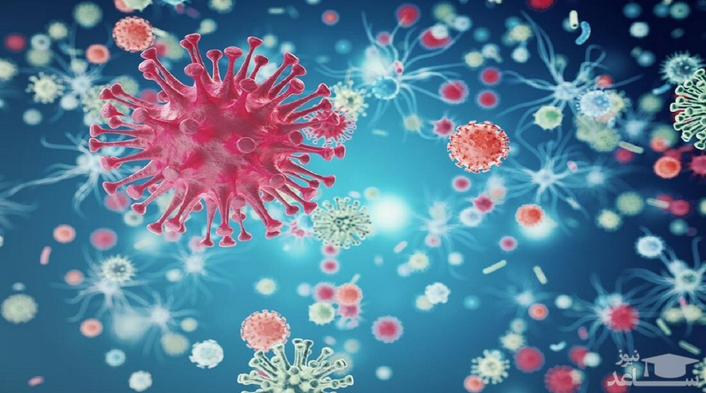 کشف روشی جدید برای مقابله با کرونا