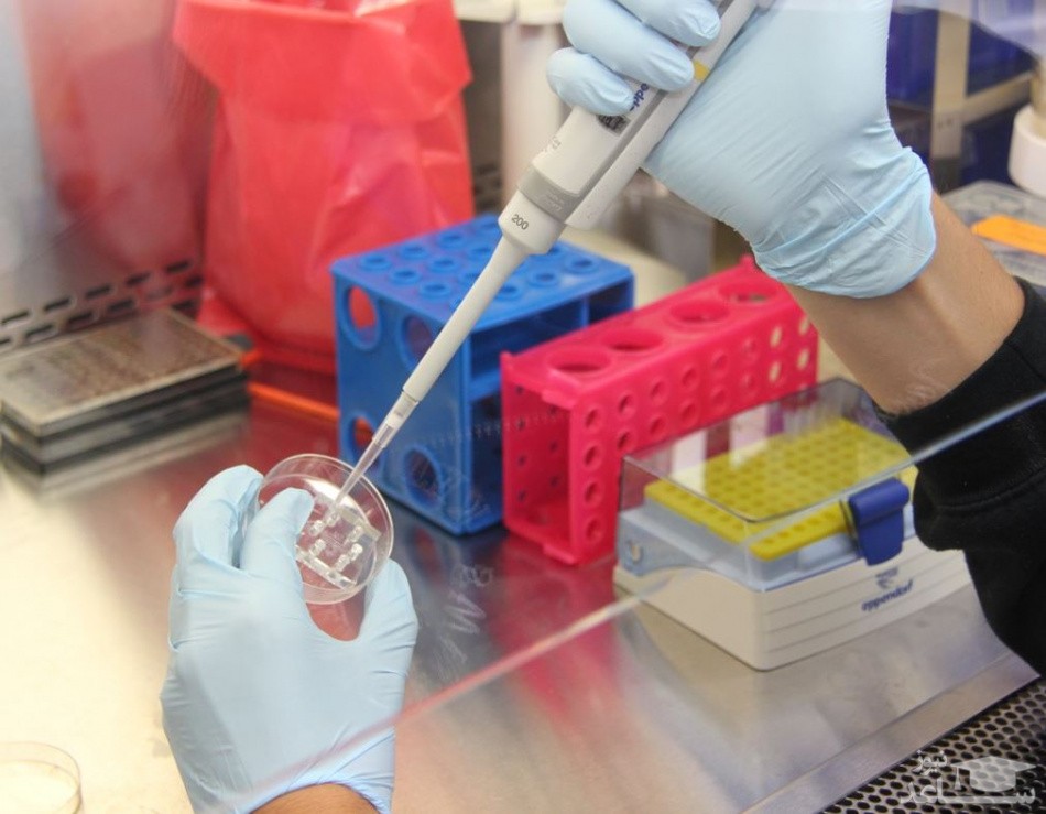 تشخیص نیم ساعته کرونا با تست جدید ادرار و بزاق یا خون