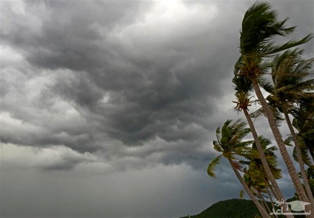 (عکس) کنده شدن آسفالت در پی طوفان ایان