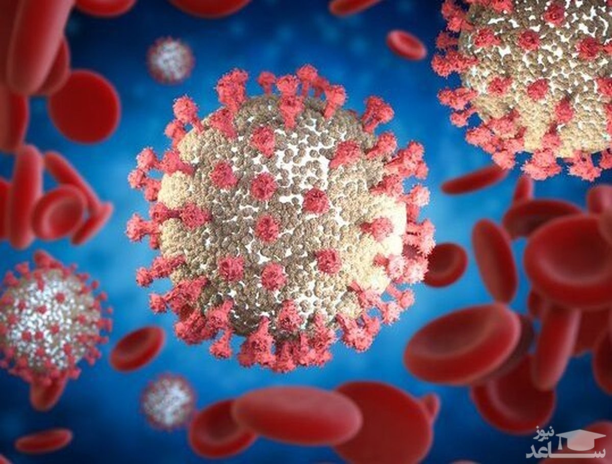 کشف ۱۸ جهش جدید در ویروس کرونا
