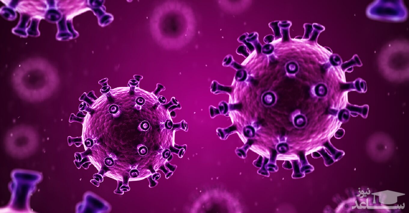 احتمال پیشگیری از کرونا با واکسن آنفلوآنزا