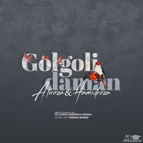 دانلود آهنگ گل گلی دامن از علیرضا و حمیدرضا