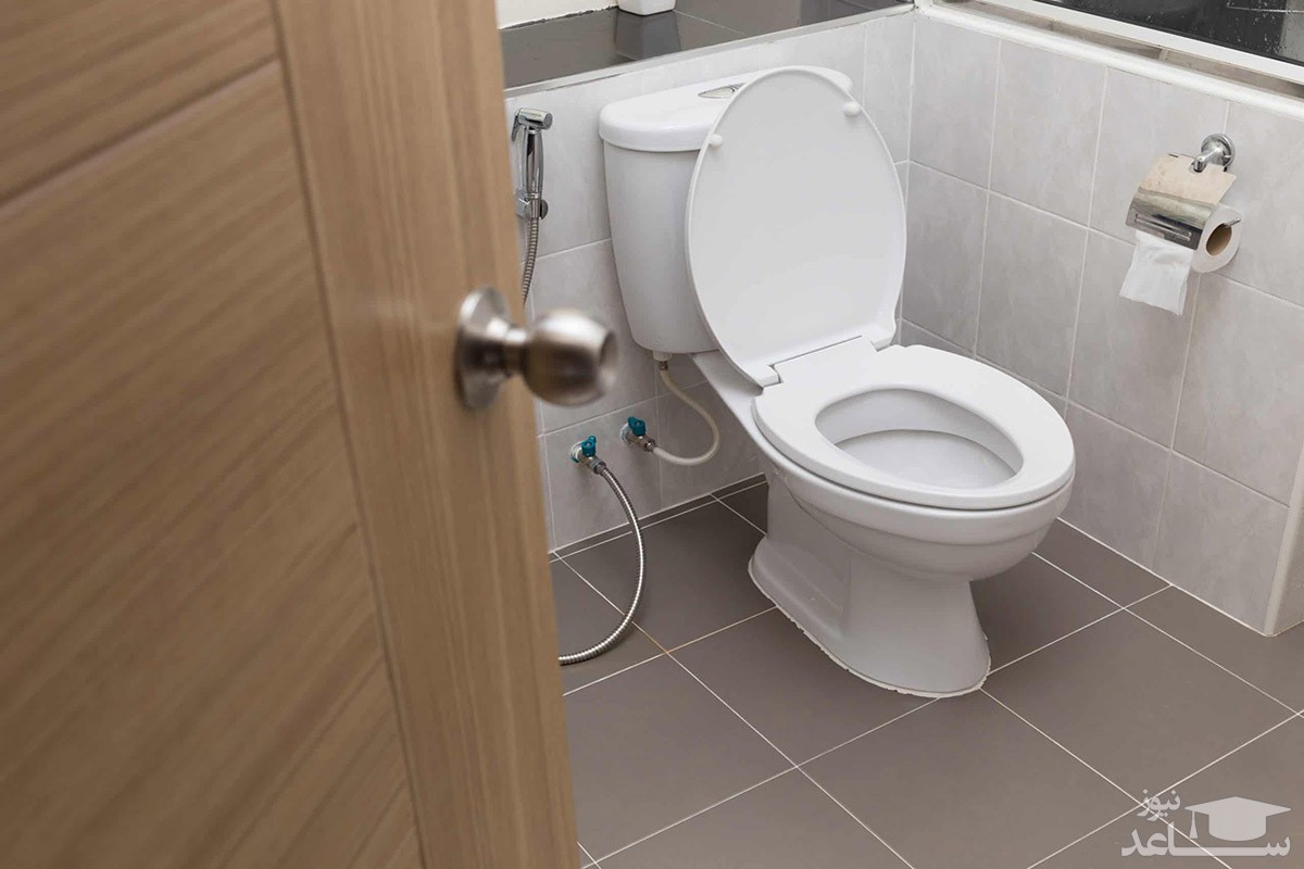 دادگاه ایتالیا سرو صدای توالت همسایه را نقض حقوق بشر قلمداد کرد!